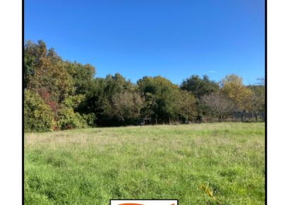 Terrain Cartelègue  (Gironde 33)