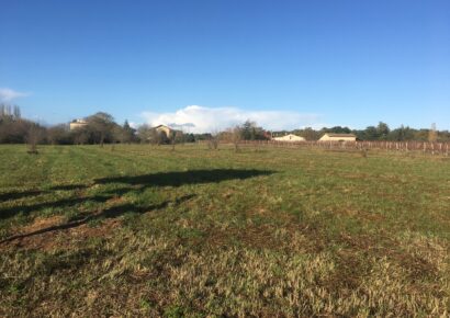 Terrain Saint-pierre-de-mons  (Gironde 33)