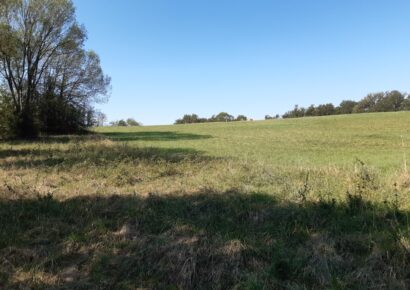 Terrain Bazas  (Gironde 33)