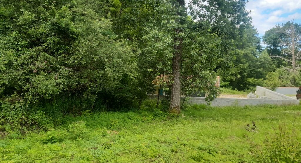 Terrain constructible Saucats  (Gironde 33)