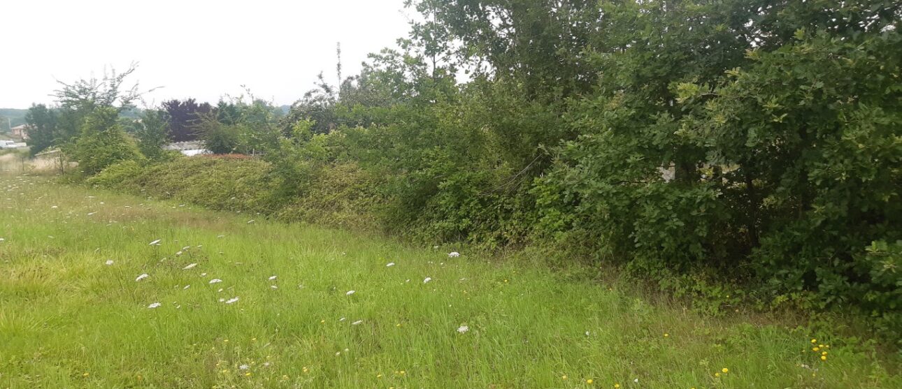 Terrain constructible Saucats  (Gironde 33)