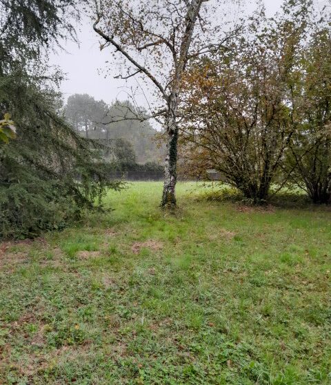 Terrain constructible Illats  (Gironde 33)