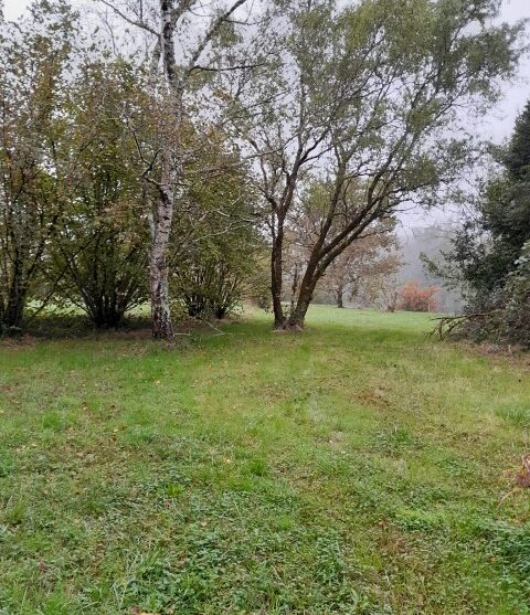 Terrain constructible Illats  (Gironde 33)