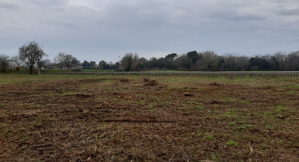 Terrain constructible Castres-gironde  (Gironde 33)