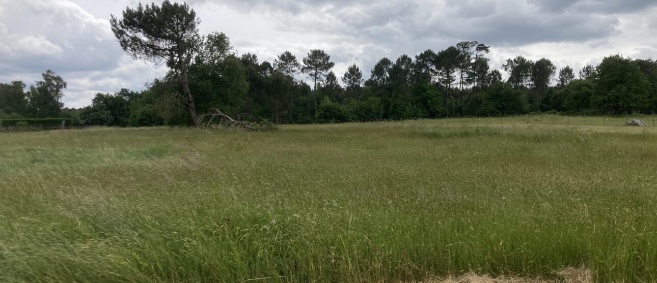 Terrain constructible Saint-savin  (Gironde 33)