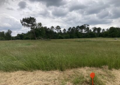 Terrain Saint-paul  (Gironde 33)