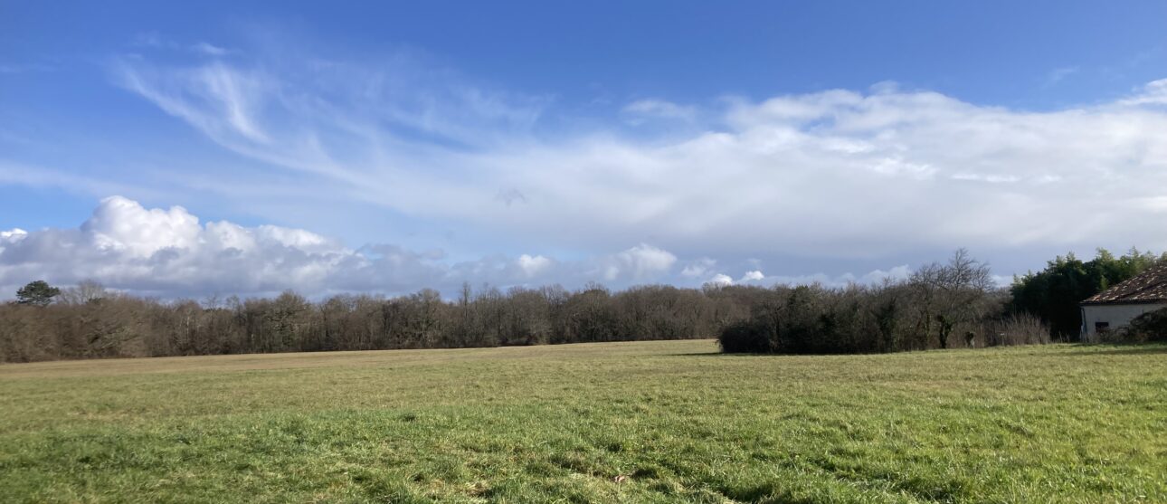 Terrain constructible Peujard  (Gironde 33)