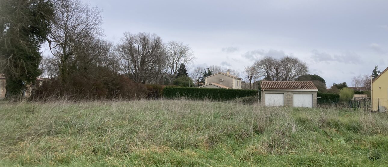 Terrain constructible Saint-caprais-de-blaye  (Gironde 33)
