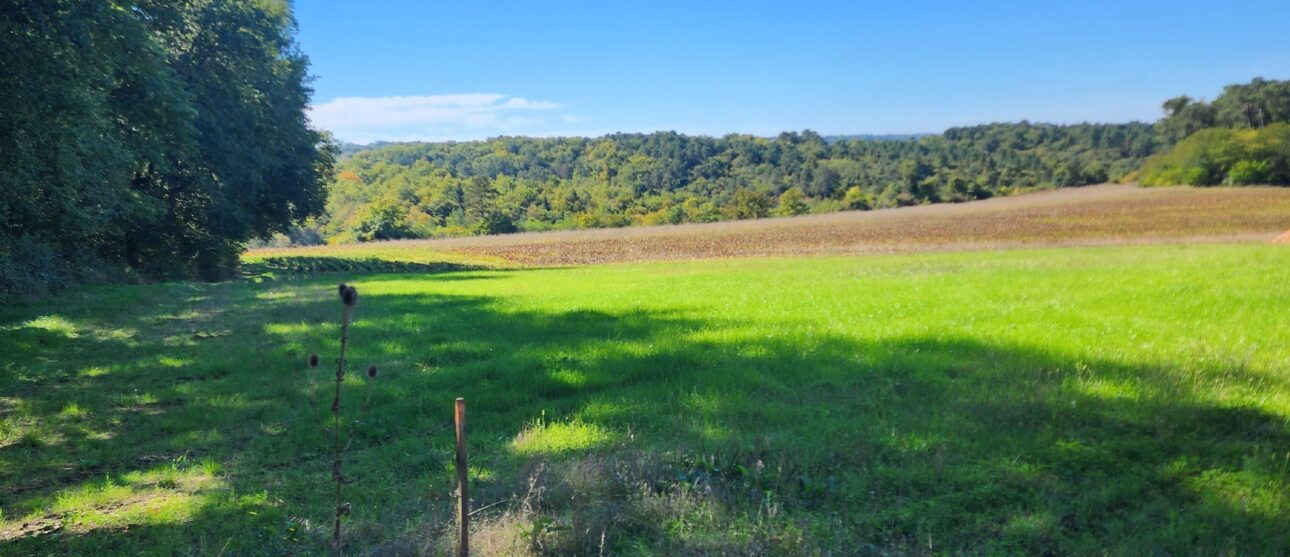 Terrain constructible Périgueux (Dordogne 24)