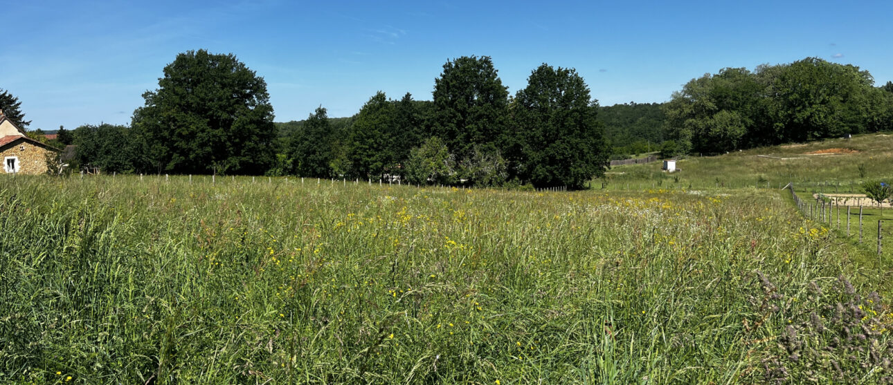Terrain constructible Beauregard-et-bassac  (Dordogne 24)