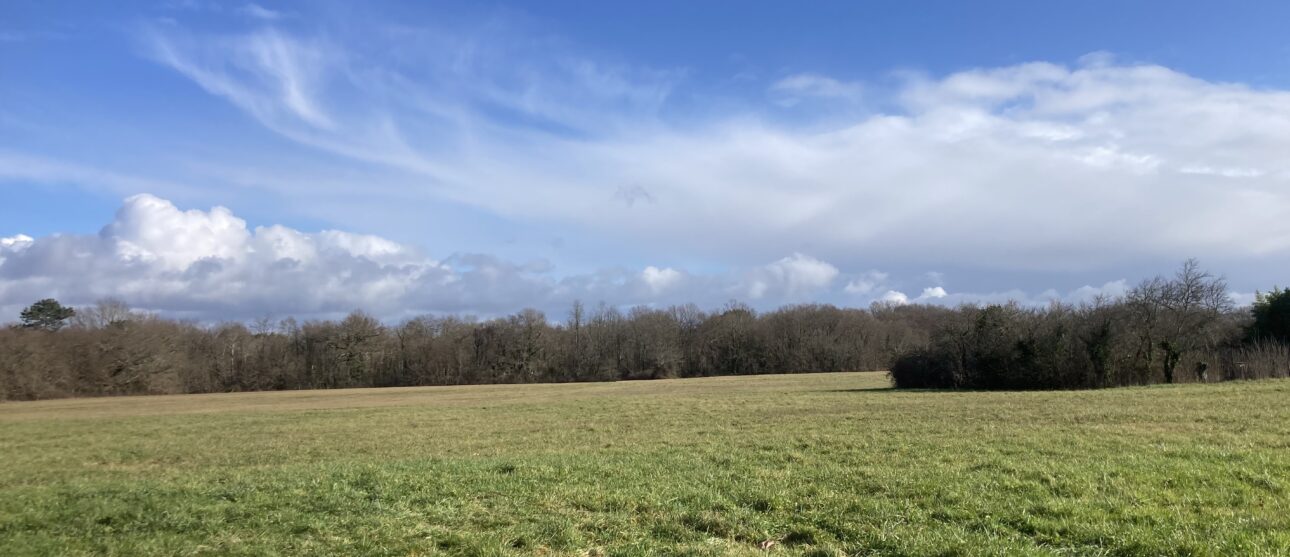 Terrain constructible Saint-savin  (Gironde 33)