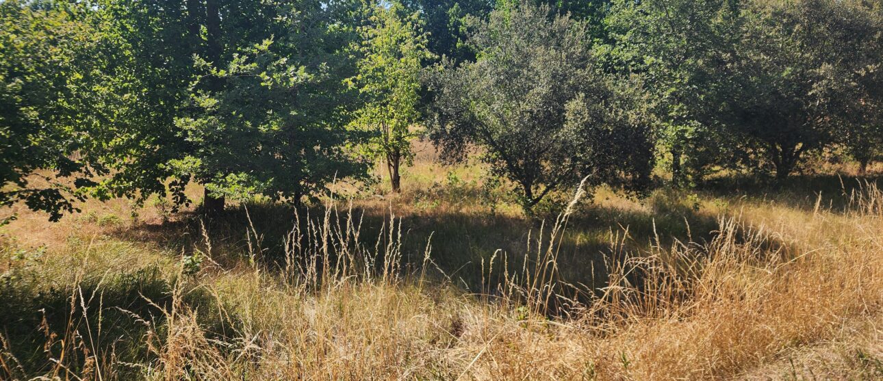 Terrain constructible Thiviers (Dordogne 24)