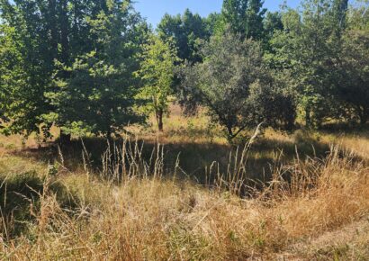 Terrain constructible Thiviers  (Dordogne 24)