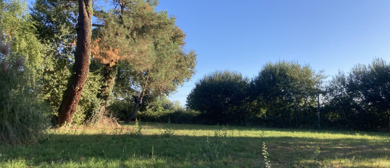 Terrain constructible Pugnac  (Gironde 33)