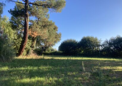 Terrain constructible Pugnac  (Gironde 33)