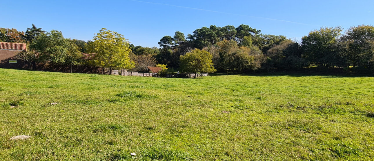 Terrain constructible Jaure  (Dordogne 24)