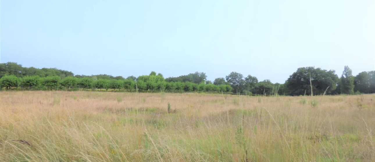 Terrain constructible Saint-aubin-de-cadelech  (Dordogne 24)