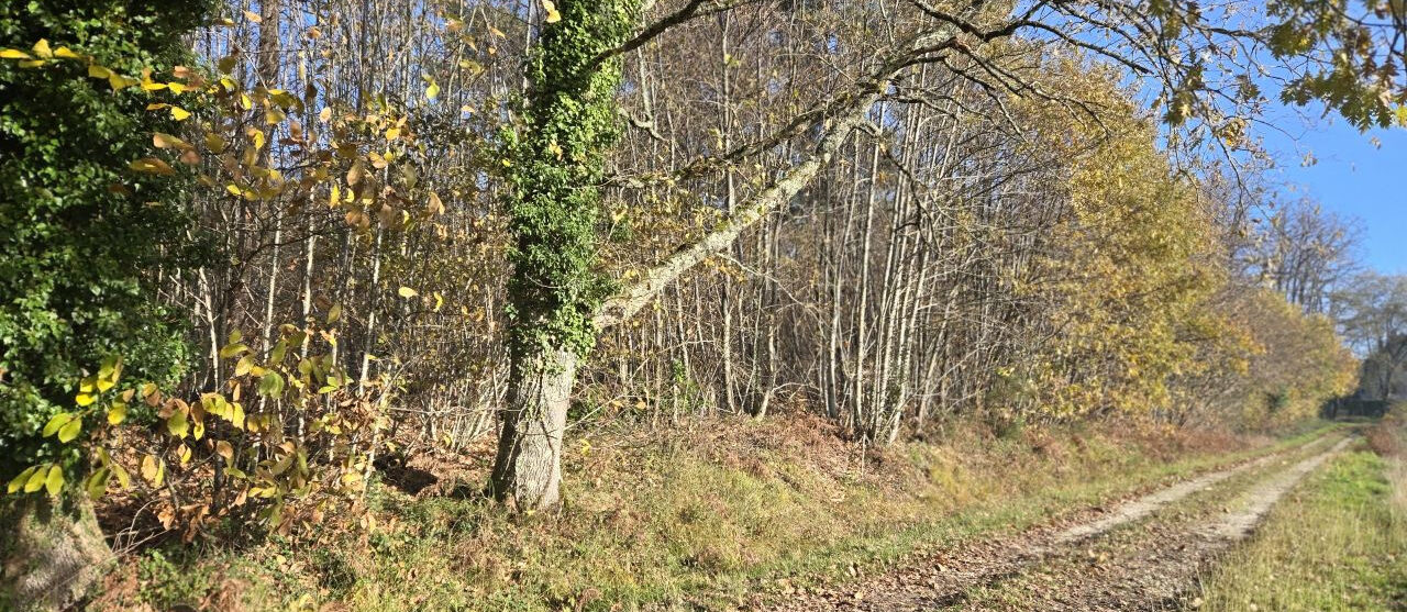 Terrain constructible Villamblard  (Dordogne 24)