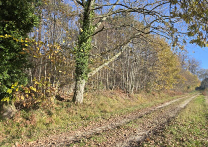 Terrain Périgueux (Dordogne 24)