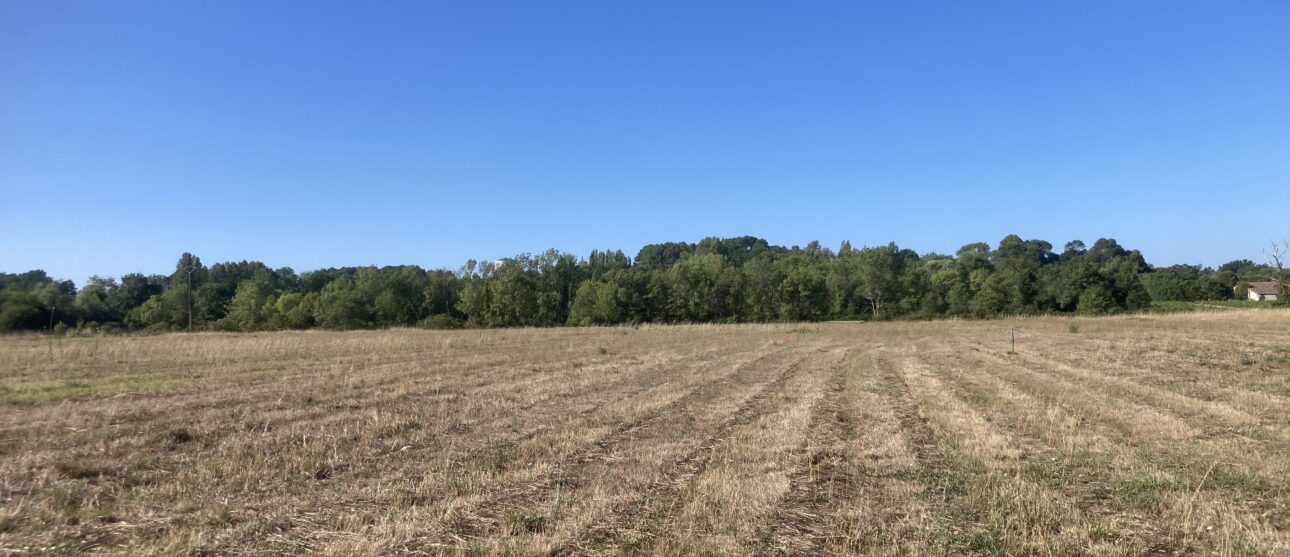 Terrain constructible Virsac  (Gironde 33)