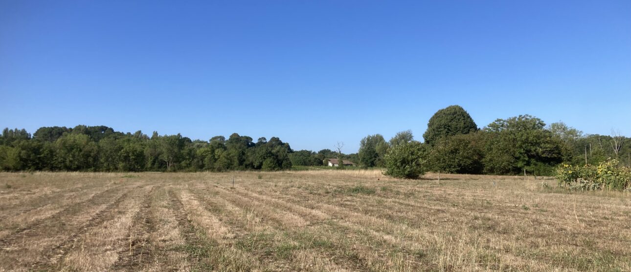 Terrain constructible Cubnezais  (Gironde 33)