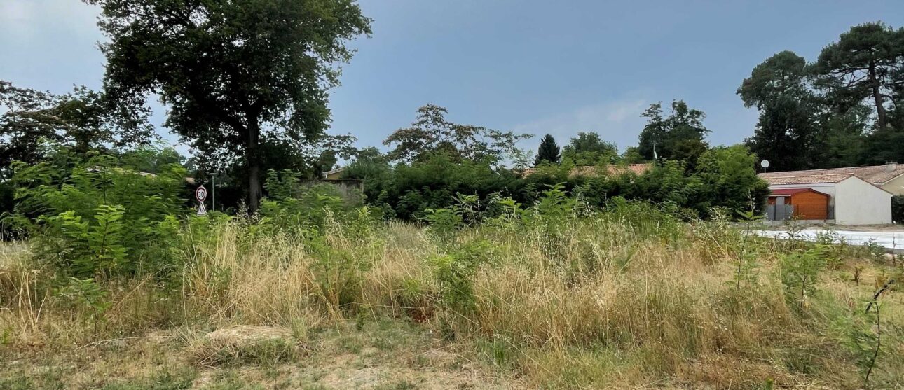 Terrain constructible Balizac  (Gironde 33)