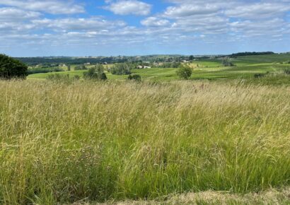 Terrain constructible Saint-maixant (Gironde 33)