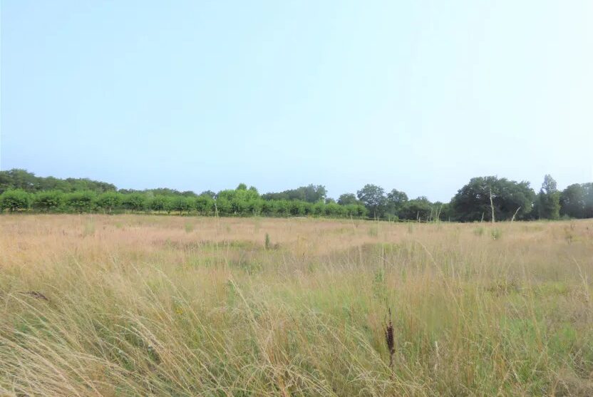 Terrain constructible Eymet  (Dordogne 24)