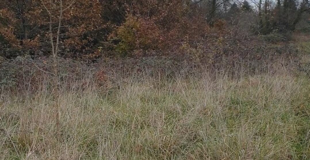 Terrain constructible Montpon-ménestérol  (Dordogne 24)
