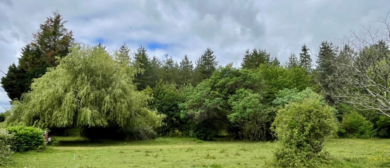 Terrain constructible Saint-martin-du-bois  (Gironde 33)