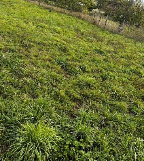 Terrain constructible Périgueux (Dordogne 24)