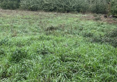 Terrain constructible Périgueux (Dordogne 24)